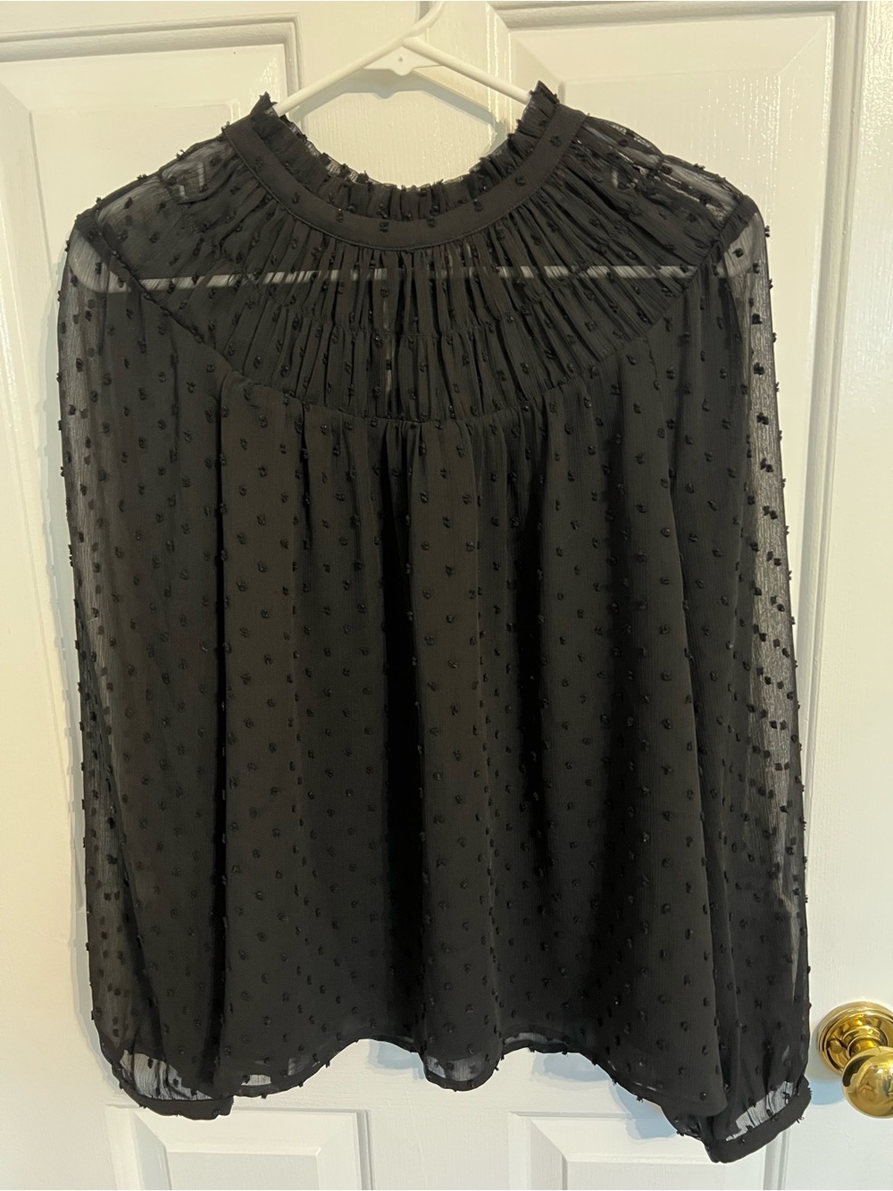 J. Crew Black Swiss Dot Sheer Yoke Blouse